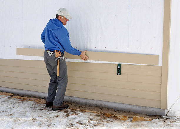 Best Storm Damage Siding Repair  in Halls, TN